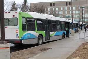 Picture of City Bus in Bus Loop