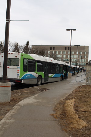 Picture of Guelph Transit Bus in U of G Bus Loop
