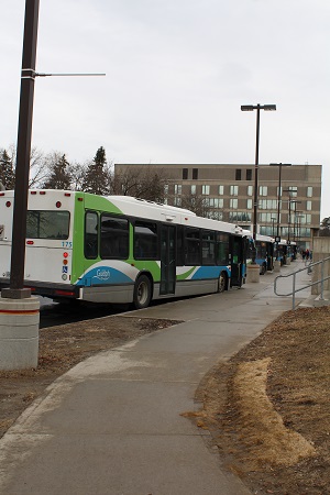 Guelph Transit Bus in U of G Bus Loop